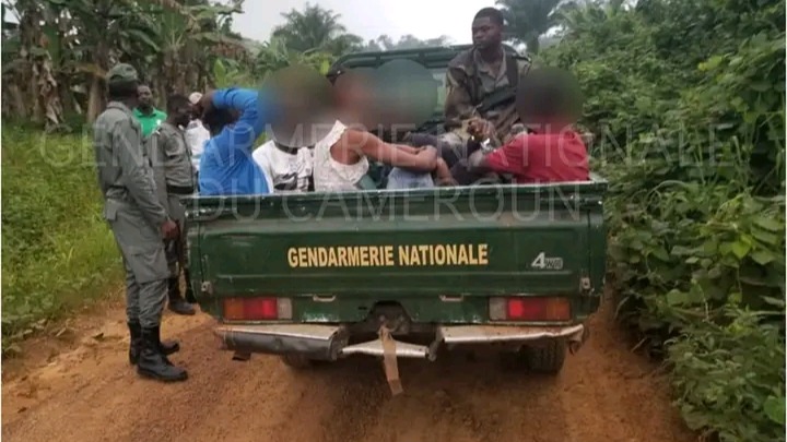 Lutte contre   le trafic et consommation  des stupéfiants  dans Le NYONG ETEKELLE :06 individus interpelés 