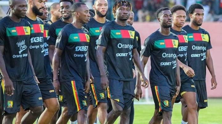 Les nouvelles de la tanière: Les lions indomptables s'apprêtent à manger les hirondelles braisées