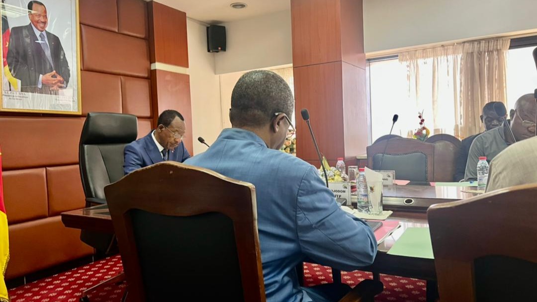 2024: Les projets financés par le BIP au cœur d'une réunion de cabinet présidée par Emmanuel NGANOU NDJOUMESSI 