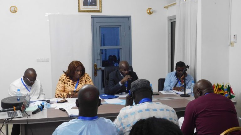 Cameroun –fecavolley saison 2024-2025 la fédération fixe le cap   