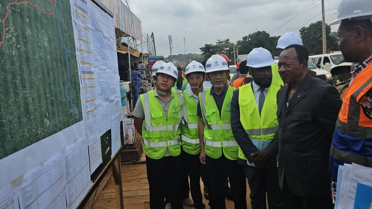 Construction de la route Awae-Esse-Soa: le MINTP apprécie l'avancement des travaux