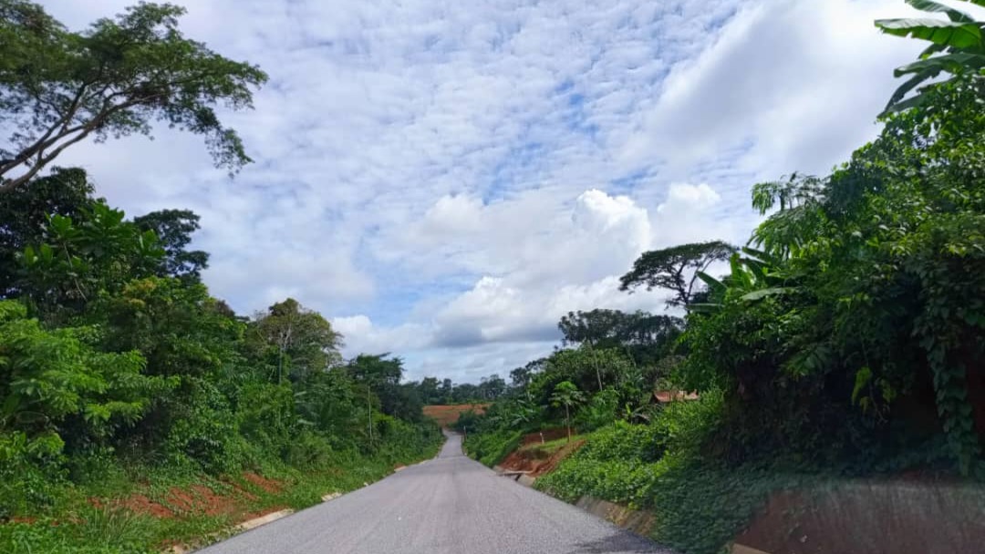 Bitumage de la route Akonolinga-Carrefour Yil: l'entreprise s'active pour achever les travaux