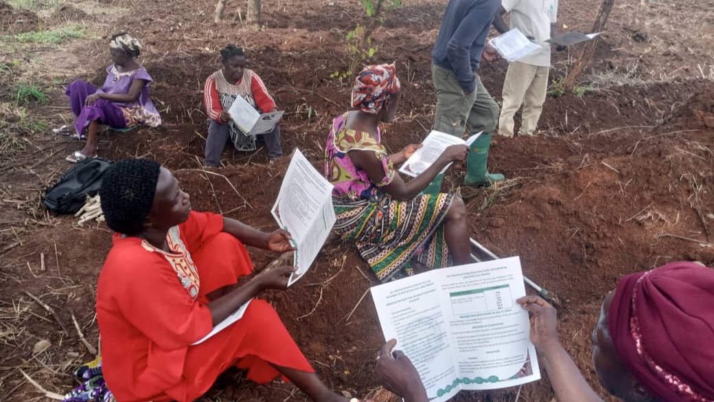Renforcement du pouvoir économique des femmes vivant de long de la Ring Road : des activités menées au profit des bénéficiaires