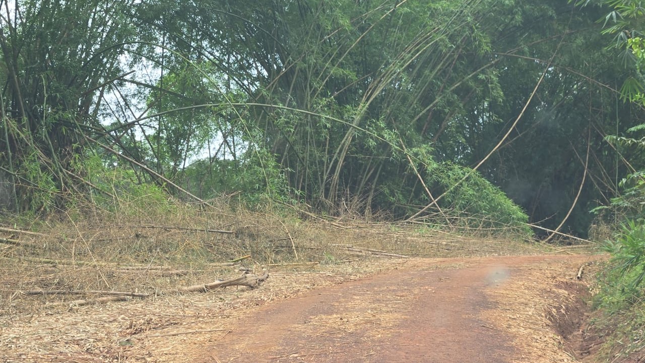 Route Sondiboma-Massock (16 km) : les travaux de bitumage accusent du retard malgré la nécessité de maintenir le trafic le long de l’itinéraire