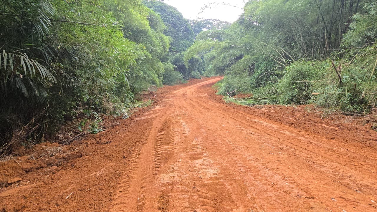 Route Ebolowa-Akom 2-Kribi : l’entreprise ICM mène efficacement des travaux d’entretien de l’itinéraire