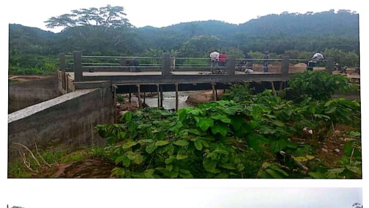 Rehabilitation of access road including a permanent bridge over the Mboukok River: Technical acceptance carried out