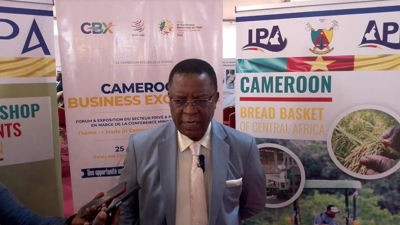 CM14 à Yaoundé : Le DG de l'API Monsieur Shinwinsoh Boma Donatus présente les nouvelles facilités pour les PME camerounaises